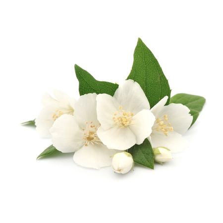 Parfum à Bougie Senteur Jasmin 27 ml - Graine Créative