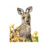 Kit Diamond Dotz - Portrait de kangourou