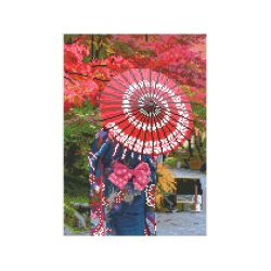 Kit Broderie diamant- Elegance Automnal