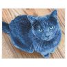 Diamond Dotz Squares Velvet+Cadre