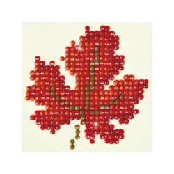 Diamond Dotz Starter Kit Feuille d'automne