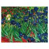 Diamond Dotz Les Iris de Van Gogh