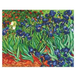 Diamond Dotz Les Iris de Van Gogh