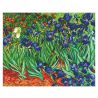 Diamond Dotz Les Iris de Van Gogh