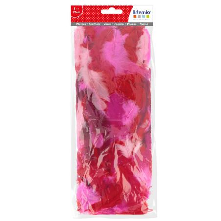 Plumes camaieu de rouge 10g Artemio