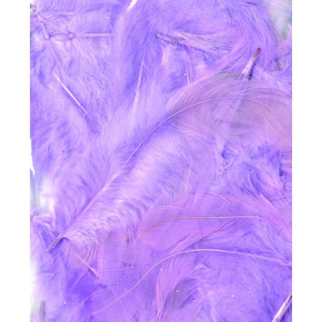 Plumes mauves claires 3g Artemio