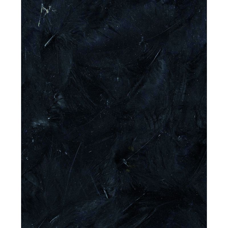 Plumes noires 3g Artemio