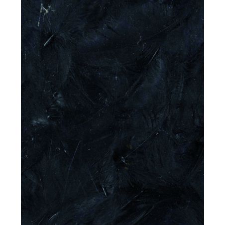 Plumes noires 3g Artemio