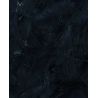 Plumes noires 3g Artemio