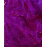 Plumes bordeaux 3g Artemio