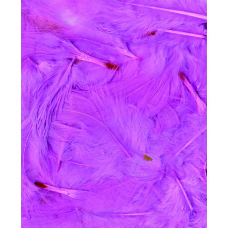 Plumes roses claires 3g Artemio