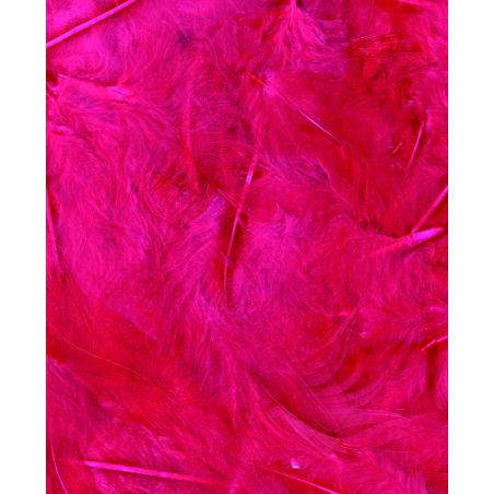 Plumes fuchsia 3g Artemio