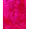Plumes fuchsia 3g Artemio