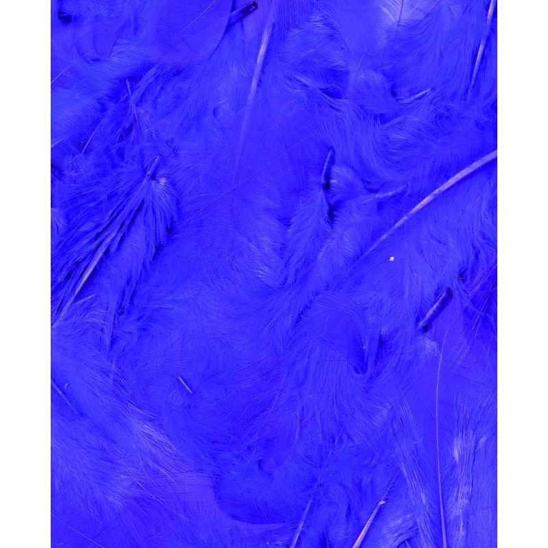 Plumes pourpres 3g Artemio