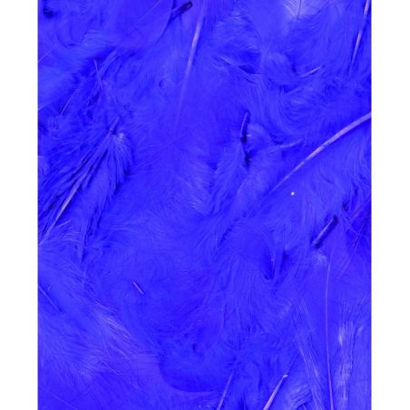 Plumes pourpres 3g Artemio