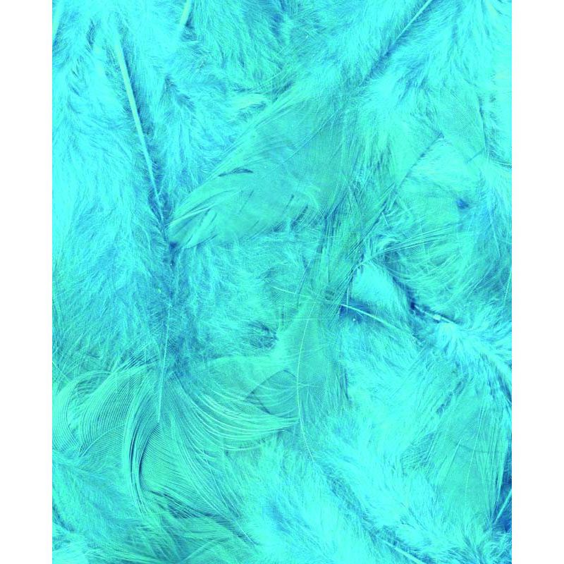 Plumes Turquoises 3g Artémio