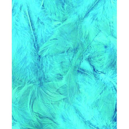 Plumes Turquoises 3g Artémio
