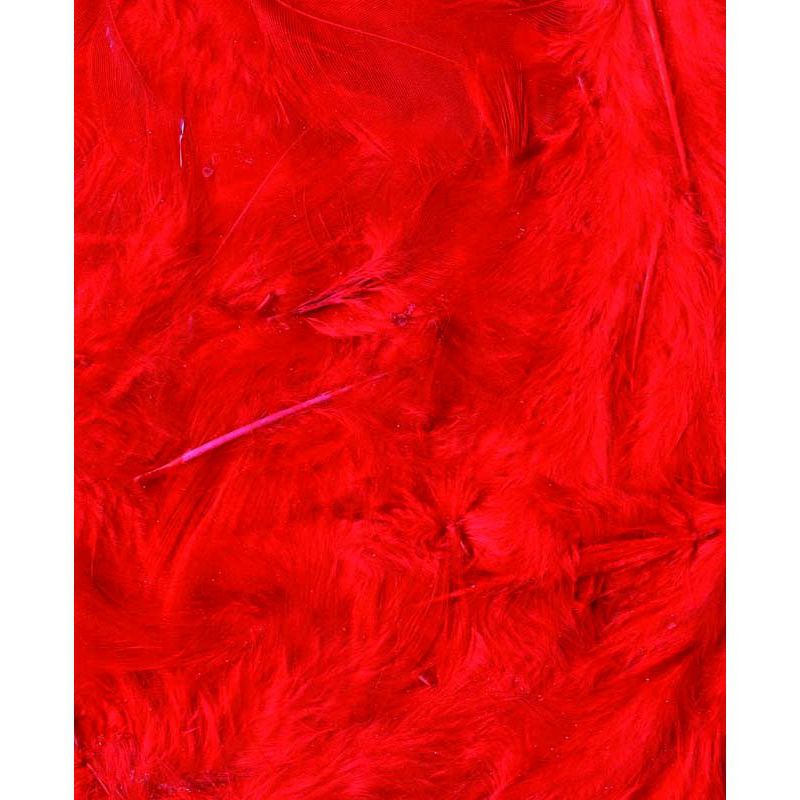 Plumes rouges 3g Artémio