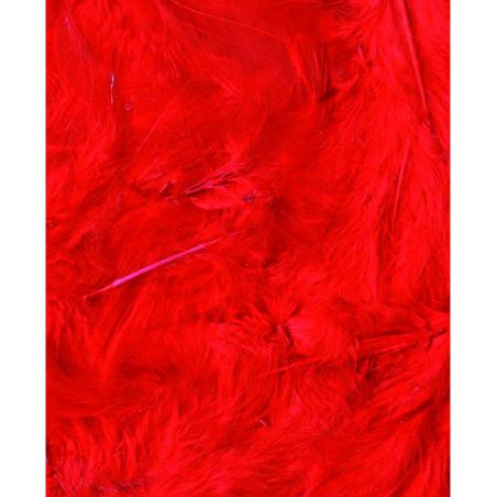 Plumes rouges 3g Artémio