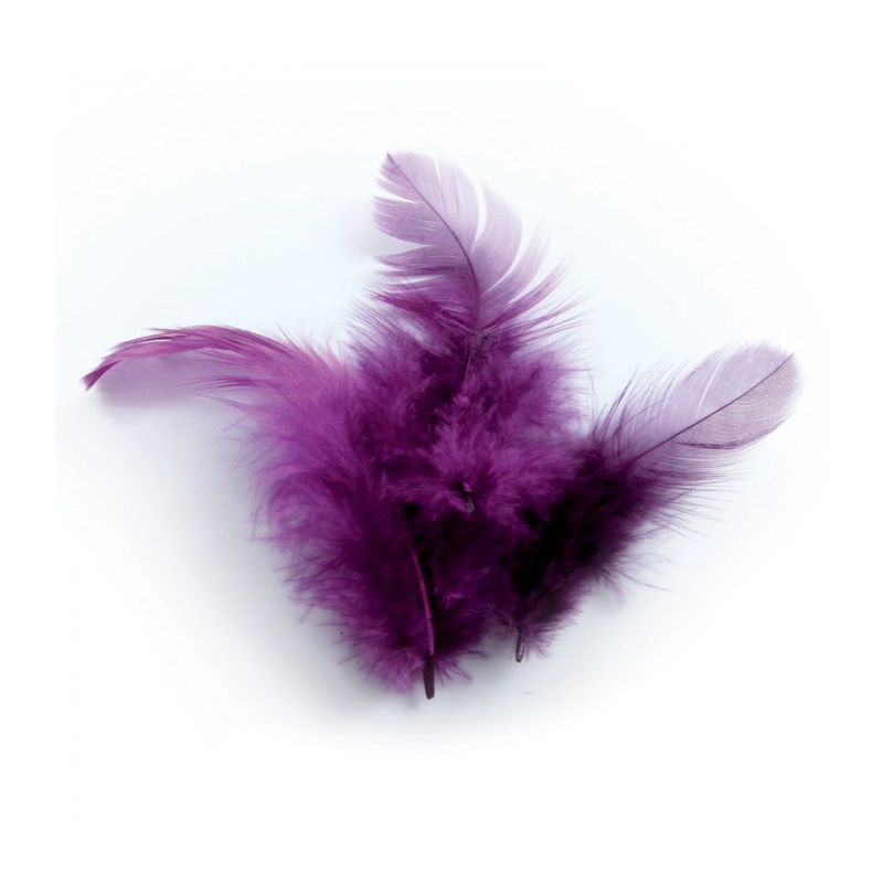 Plumes Violettes de coq 3g 10cm Graine créative