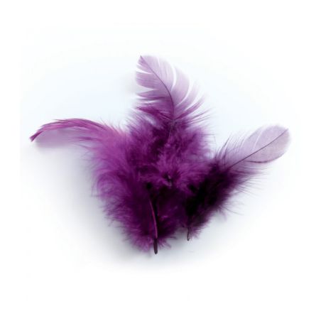 Plumes Violettes de coq 3g 10cm Graine créative