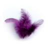 Plumes Violettes de coq 3g 10cm Graine créative