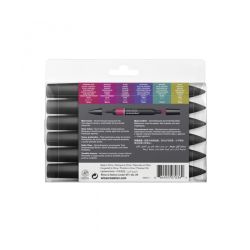 6 feutres Promarkers Tons Riches