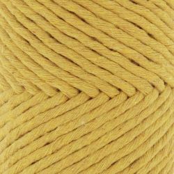 Fil Eco Barbante Spesso Chunky Cotton 200g - Curry