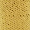 Fil Eco Barbante Spesso Chunky Cotton 200g - Curry