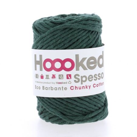 Fil Eco Barbante Spesso Chunky Cotton 200g - Pine