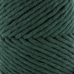 Fil Eco Barbante Spesso Chunky Cotton 200g - Pine