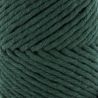 Fil Eco Barbante Spesso Chunky Cotton 200g - Pine