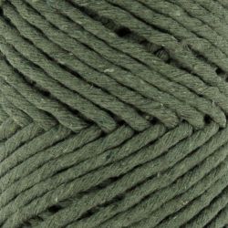 Fil Eco Barbante Spesso Chunky Cotton 200g - Aspen