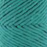 Fil Eco Barbante Spesso Chunky Cotton 200g - Lagoon
