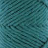 Fil Eco Barbante Spesso Chunky Cotton 200g - Petrol