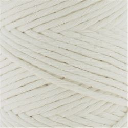 Fil Eco Barbante Spesso Chunky Cotton 500g - Almond