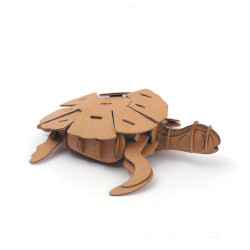 Maquette en carton Tortue - Graine Créative - Activité DIY dès 6 ans