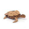 Maquette en carton Tortue - Graine Créative - Activité DIY dès 6 ans