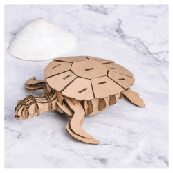 Maquette en carton Tortue - Graine Créative - Activité DIY dès 6 ans