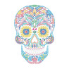 Kit Broderie Diamant Neon Noir - Sugar Skull - Crâne Mexicain Fluo sur Toile Flock