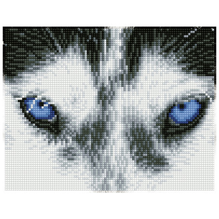 Kit Broderie Diamant Mystic Husky - Chien Nordique & Strass Carrés