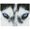 Kit Broderie Diamant Mystic Husky - Chien Nordique & Strass Carrés